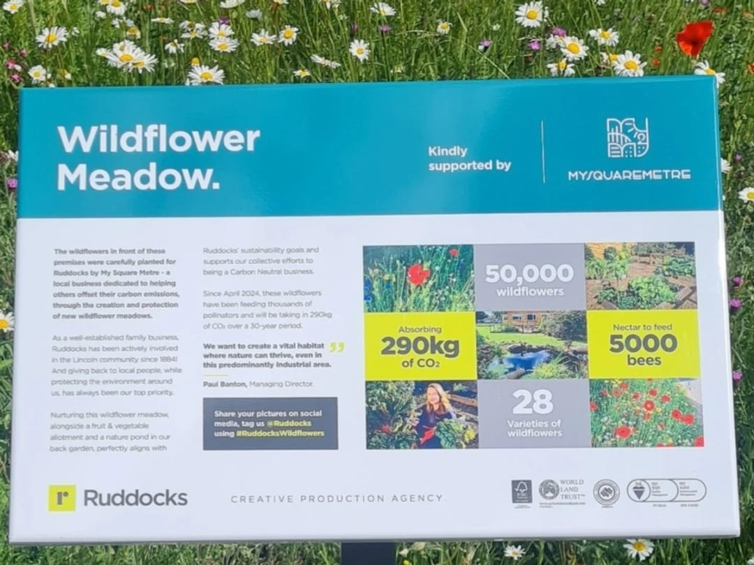 A wildflower meadow sign among daisies and poppies, reading Wildflower Meadow, kindly supported by My Square Metre